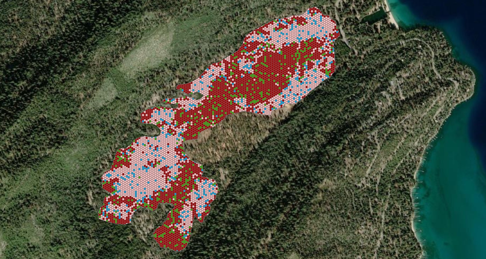 Desert phenology project preview