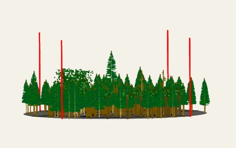 FVS model showing management strategy 1 in year 2