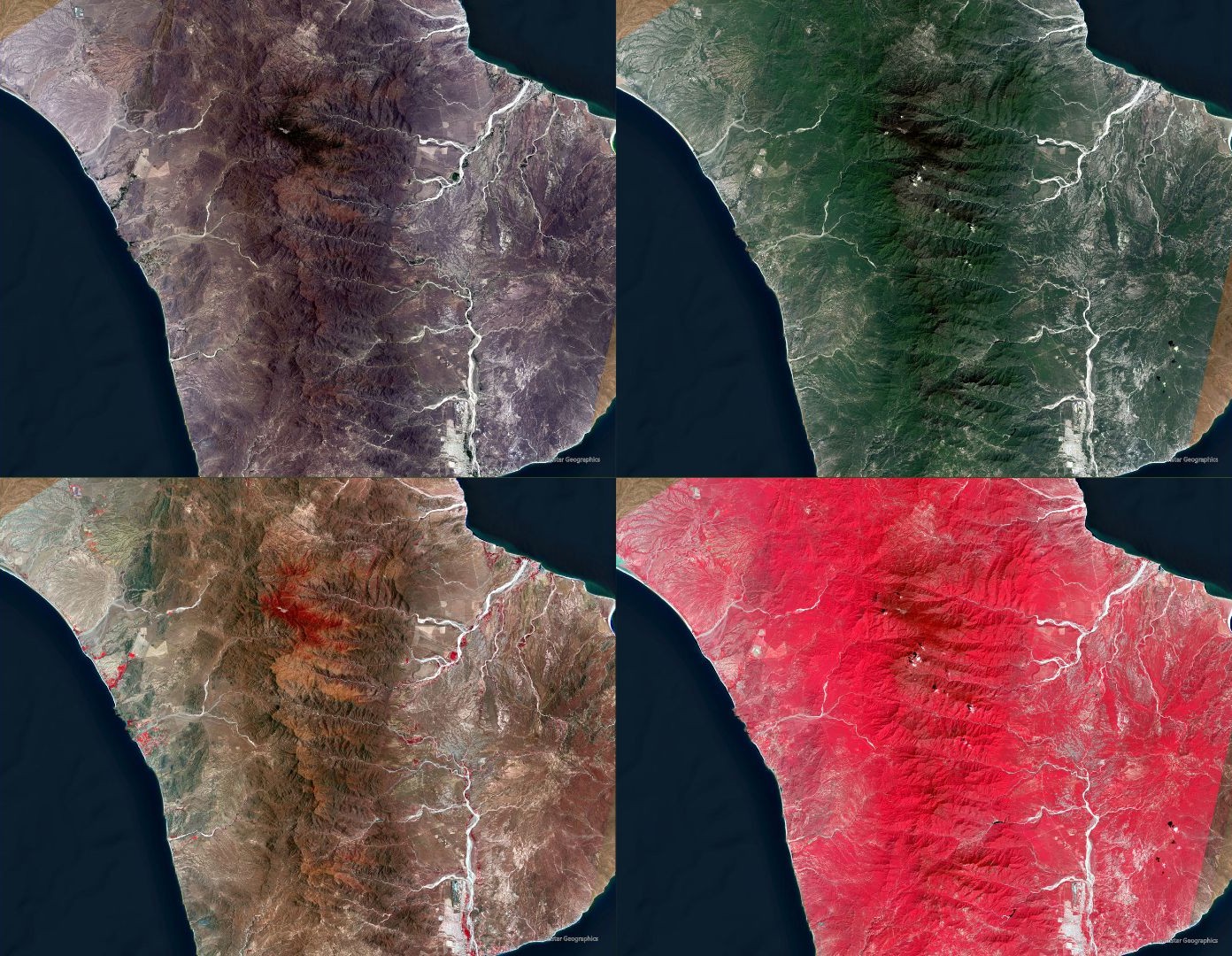 Conifer encroachment project preview