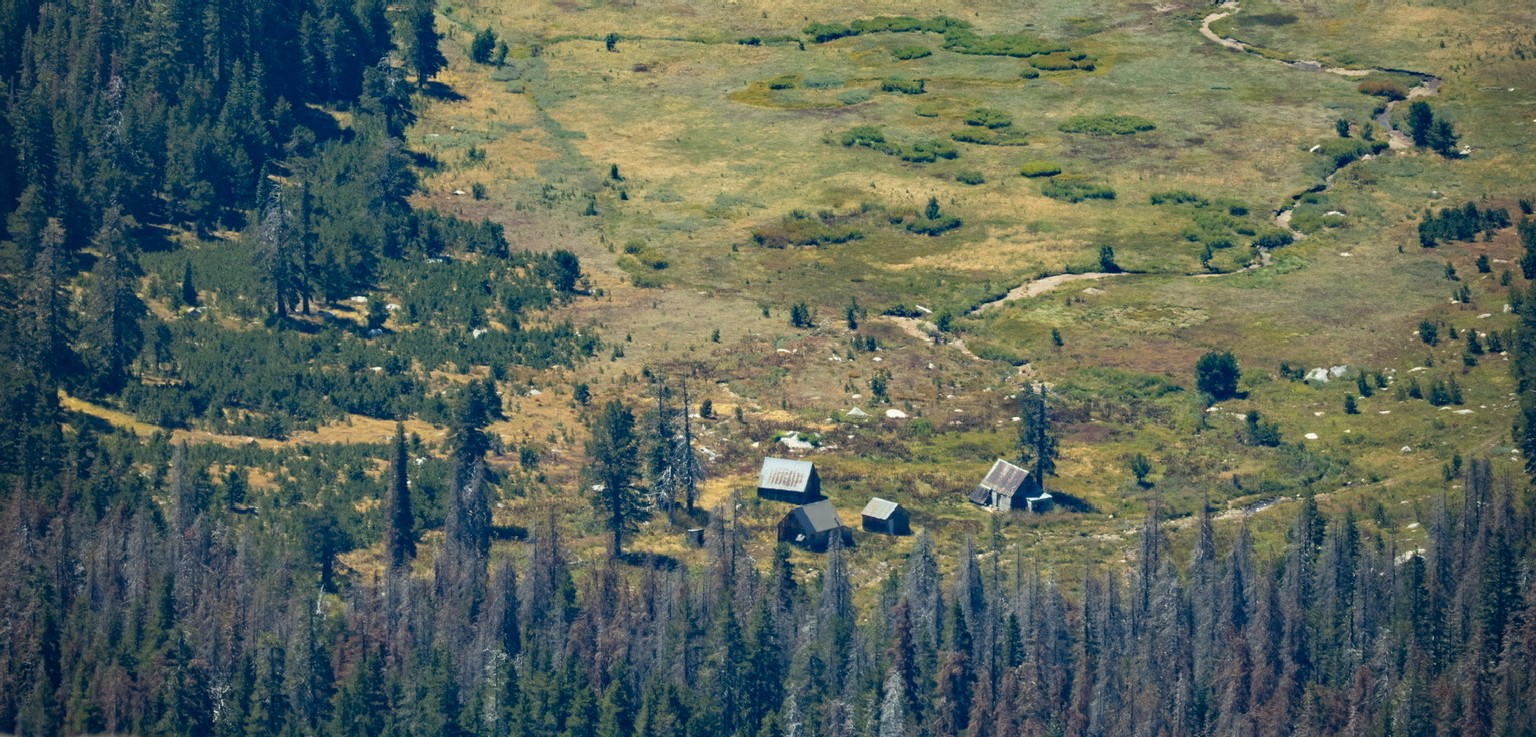 Remote meadow and forest landscape
